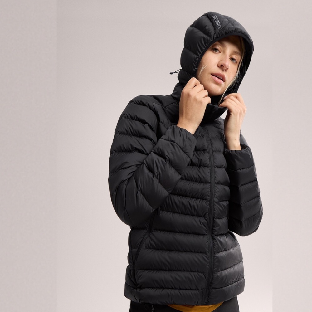 Arc’texyx Cerium Hoody Puffer in Black